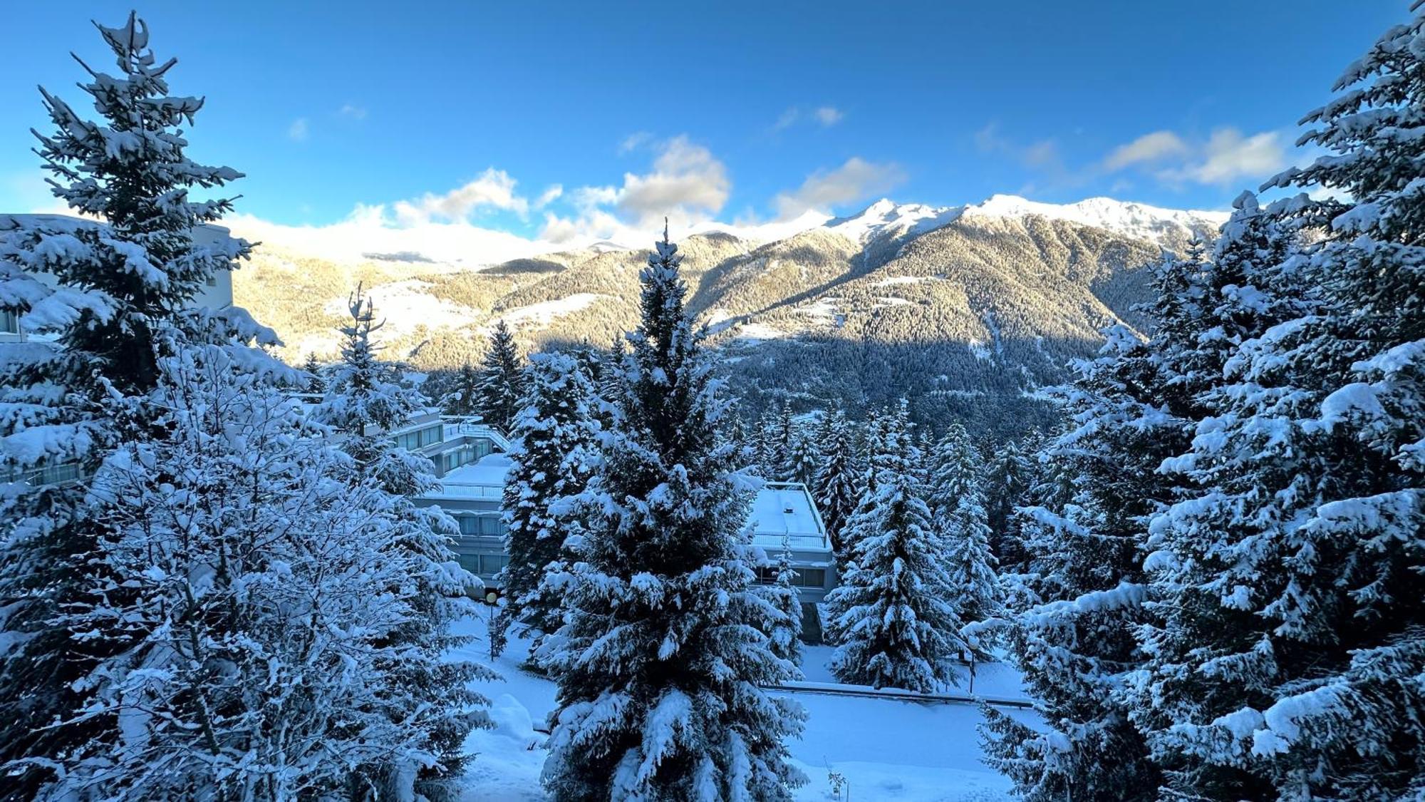 Bellavista Marilleva 1400 - Val Di Sole Διαμέρισμα Εξωτερικό φωτογραφία