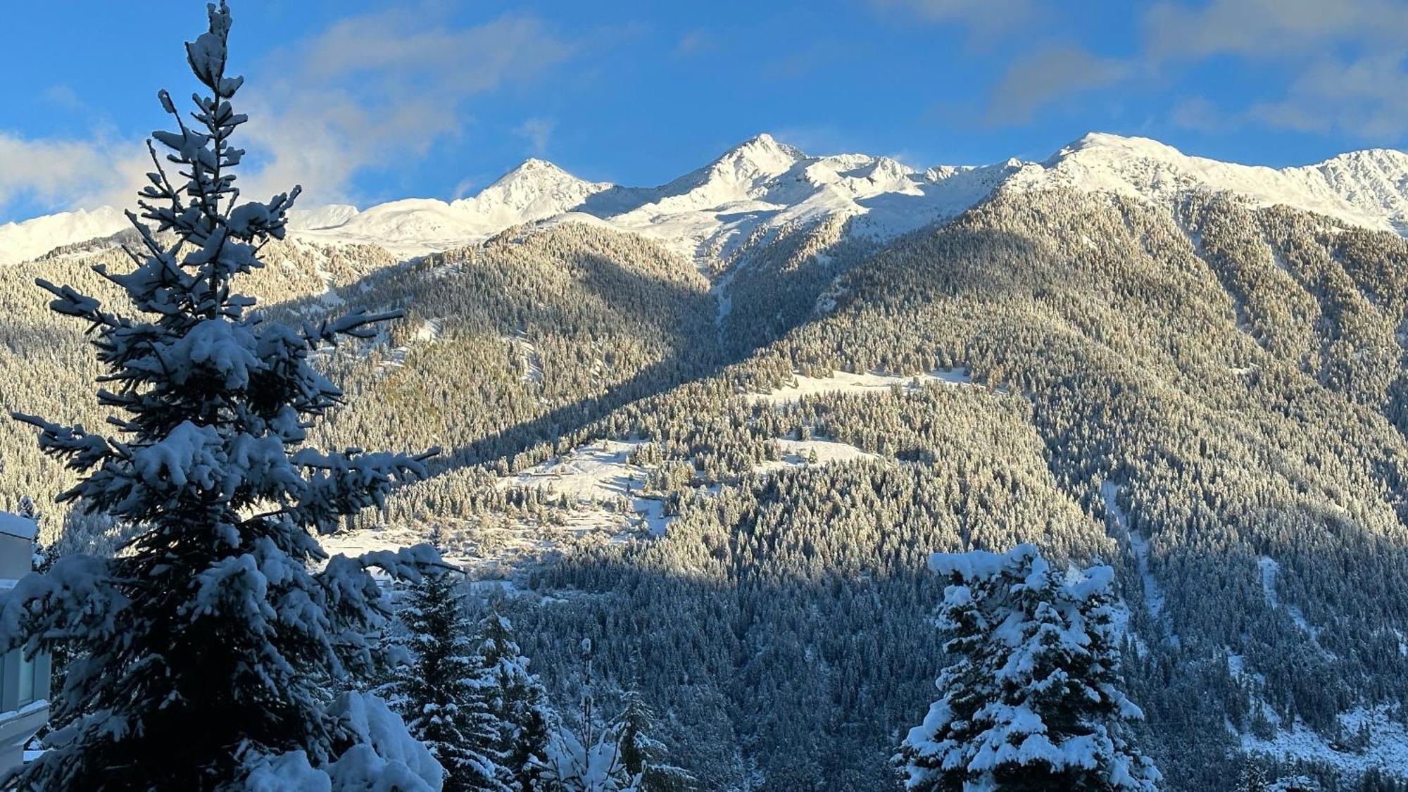 Bellavista Marilleva 1400 - Val Di Sole Διαμέρισμα Εξωτερικό φωτογραφία